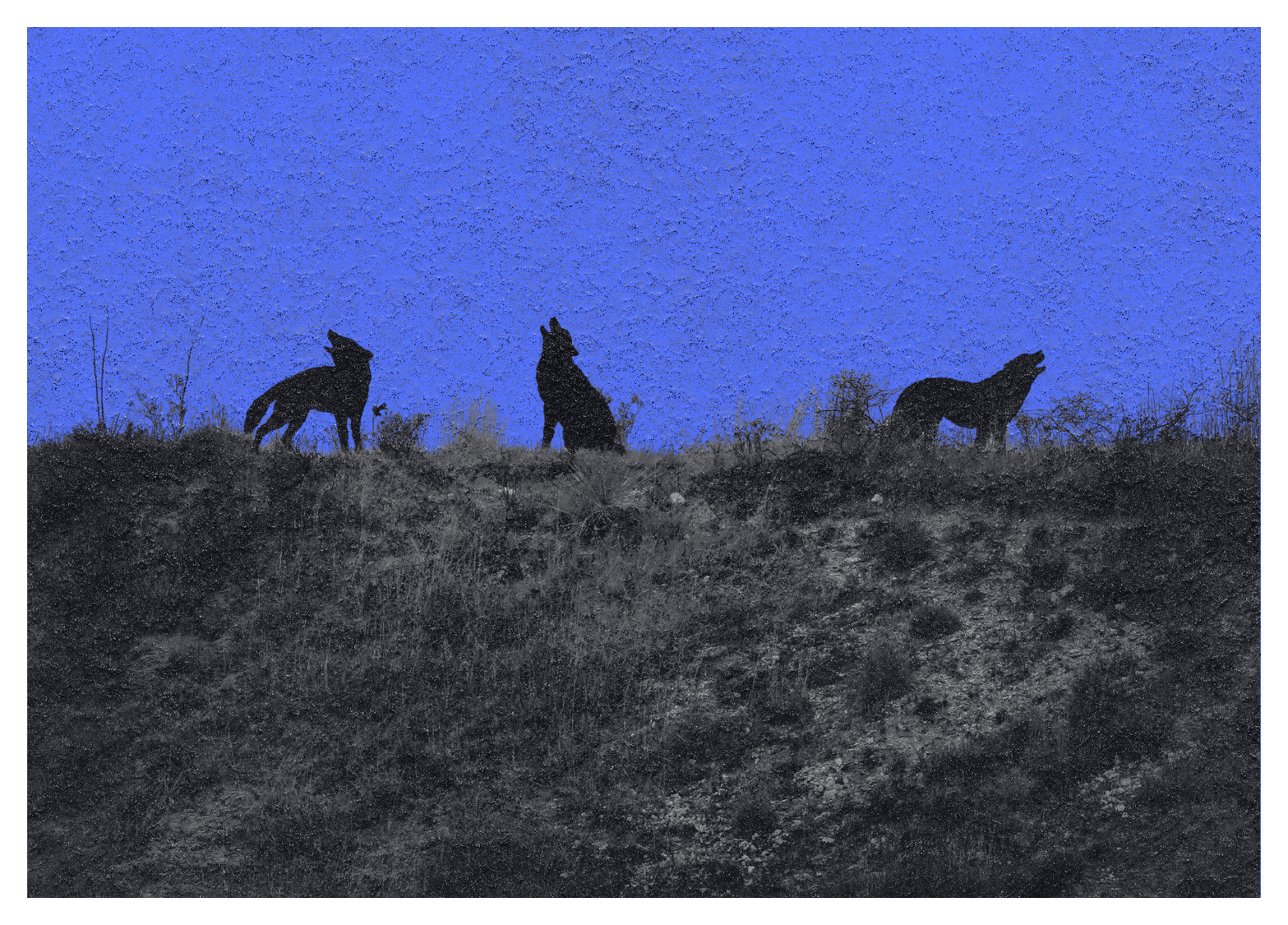 Las bestias que llevamos dentro