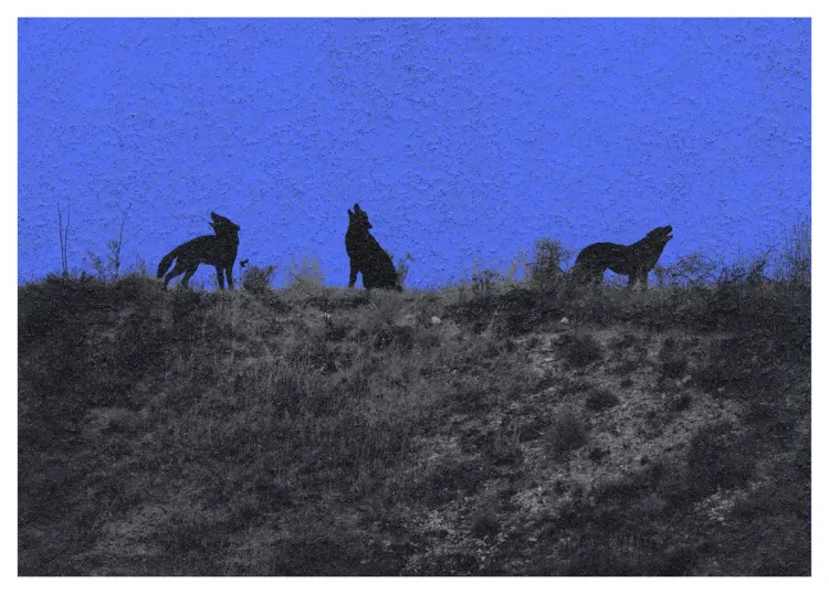 Las bestias que llevamos dentro